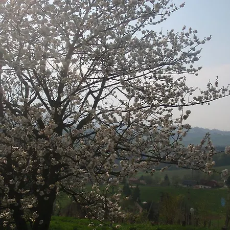 Sonnenhaus Hébergement de vacances