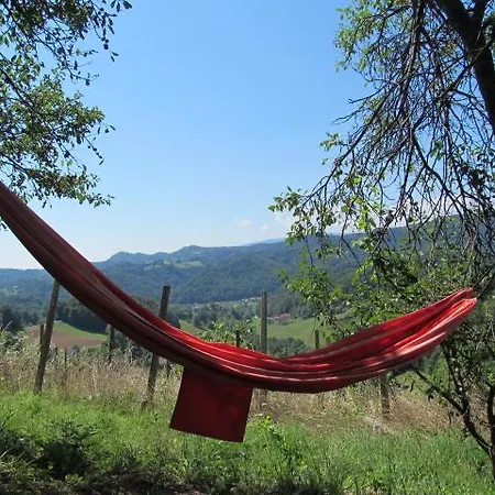 Sonnenhaus Σπίτι διακοπών Svecina